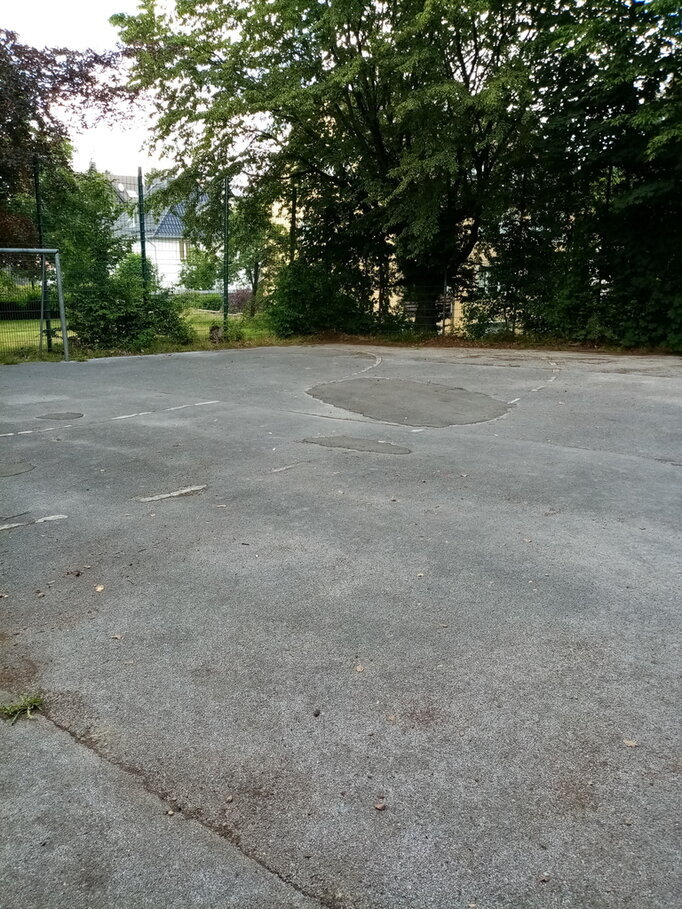 Karneval 2024 Bild 8