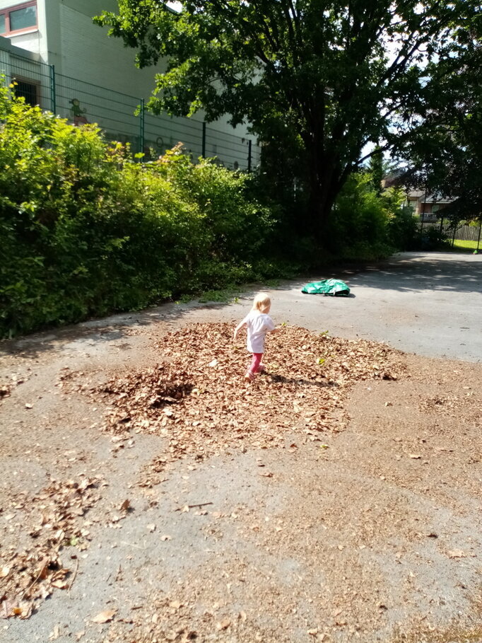 Karneval 2024 Bild 21