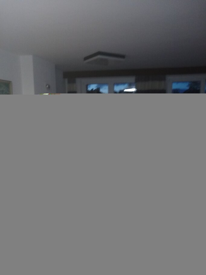 Karneval 2024 Bild 8