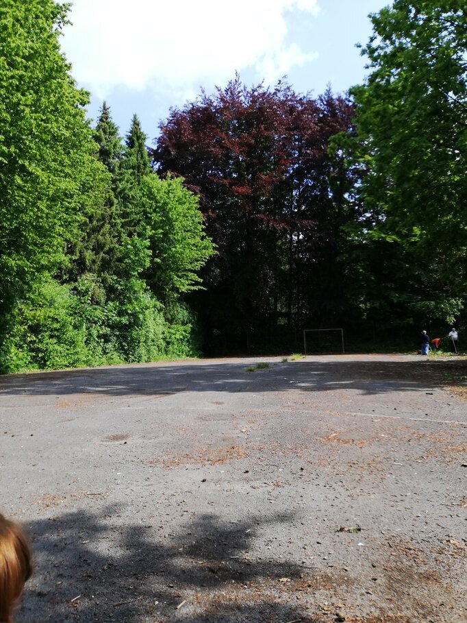 Karneval 2024 Bild 1