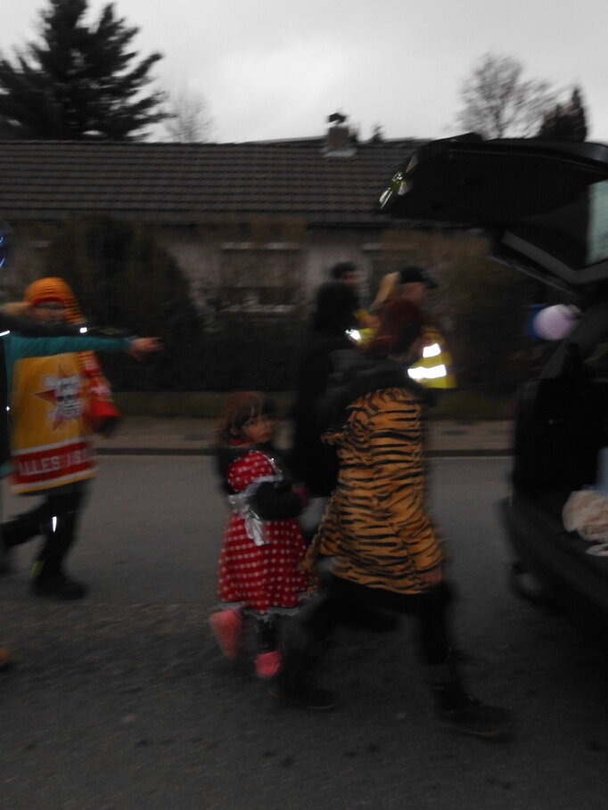 Karneval 2024 Bild 28