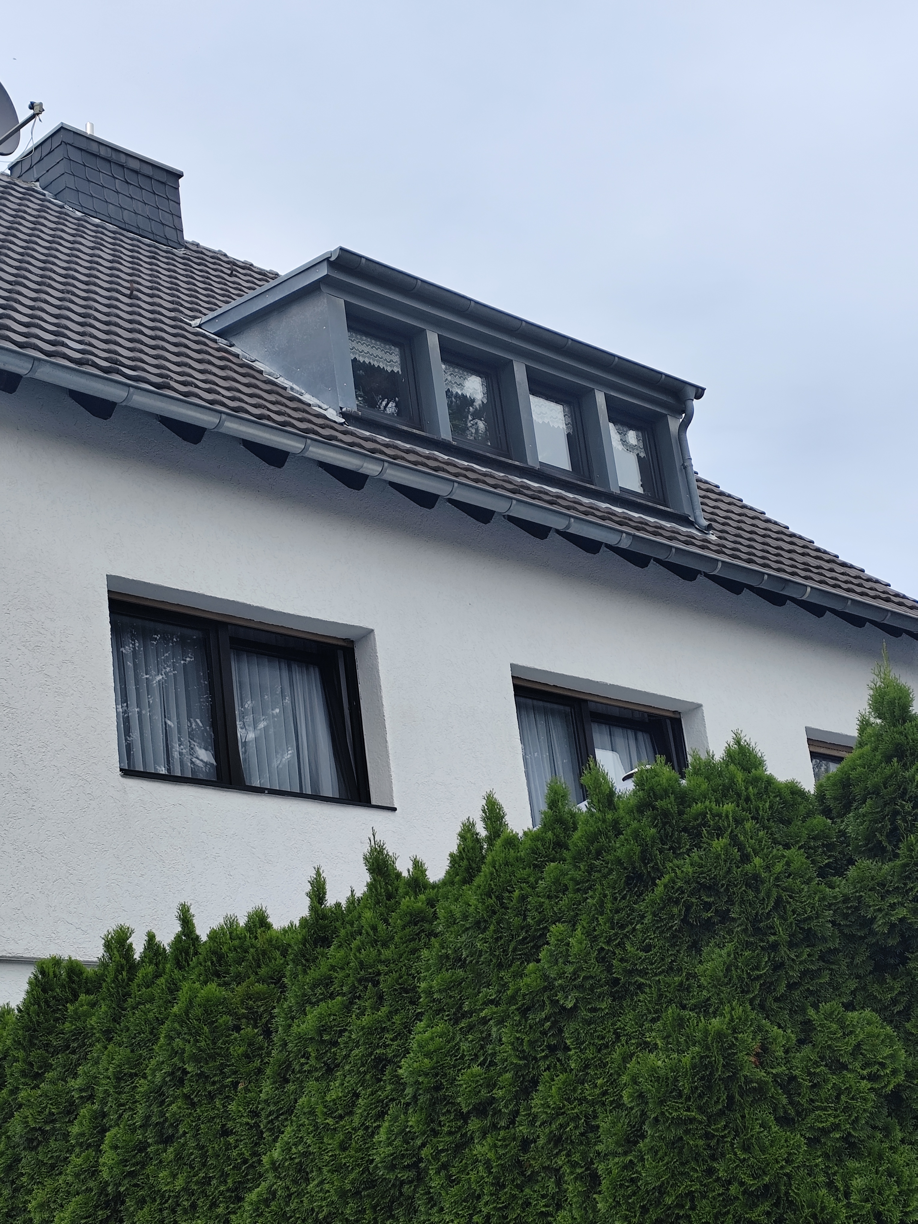 Karneval 2024 Bild 2